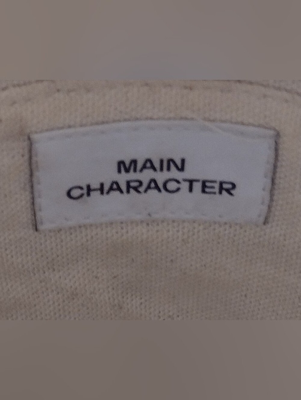 Aritzia-Main Character Woven Jute Crossbody Bag- Boho Hippy Natural Neutral Chic - Picture 2 of 8